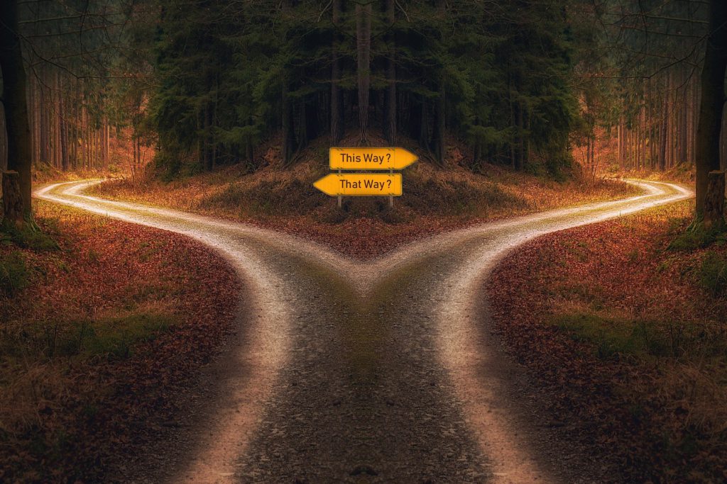 A fork in the road with two path options